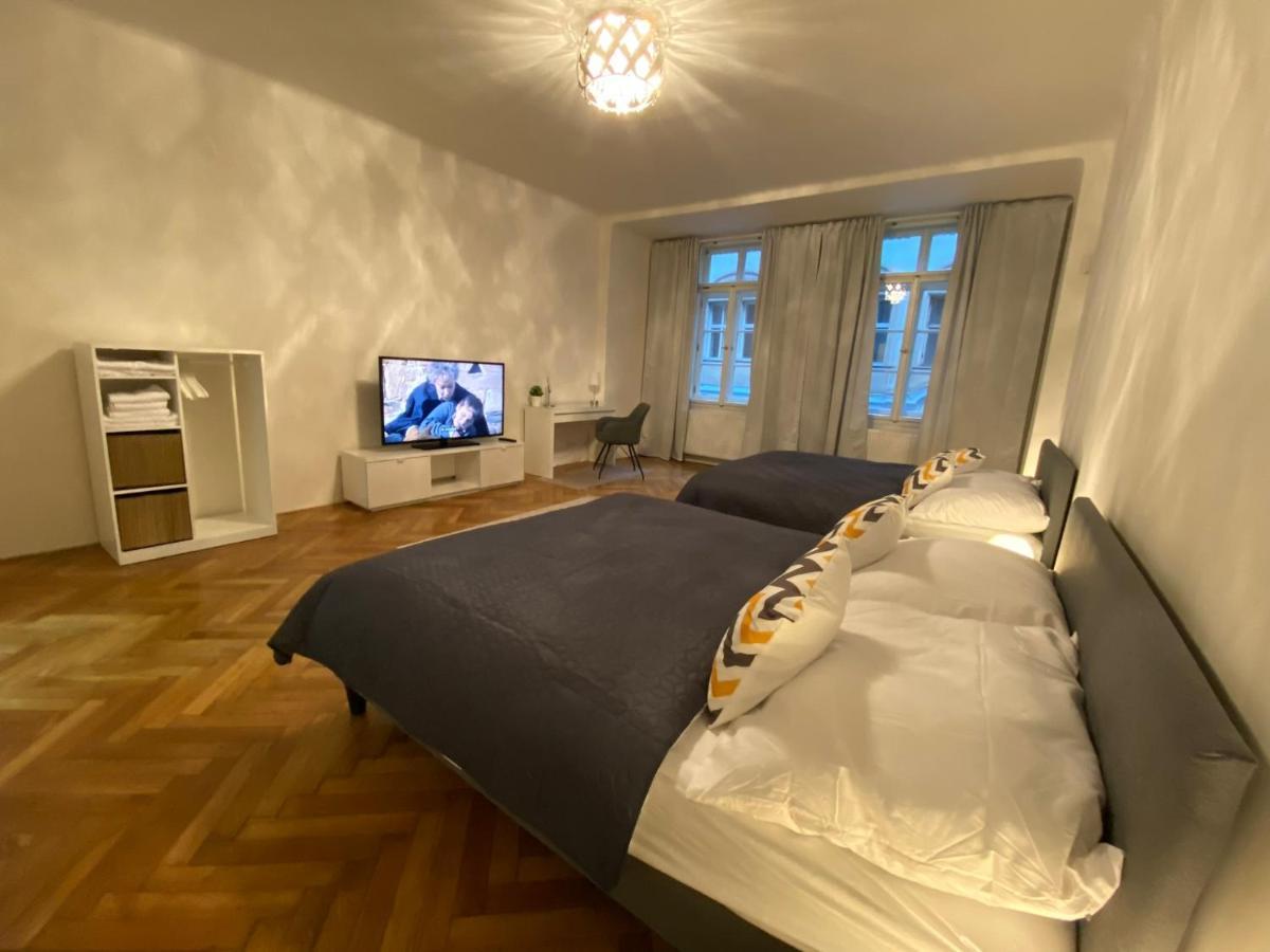 Spacious Apartment On Wenceslas Square