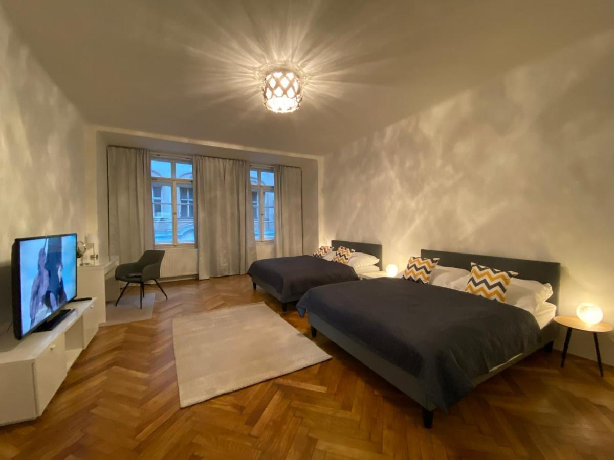 Spacious Apartment On Wenceslas Square Apartment *