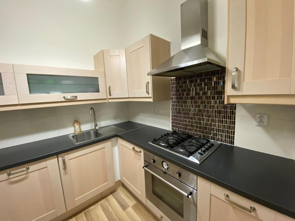 Spacious Apartment On Wenceslas Square Apartment