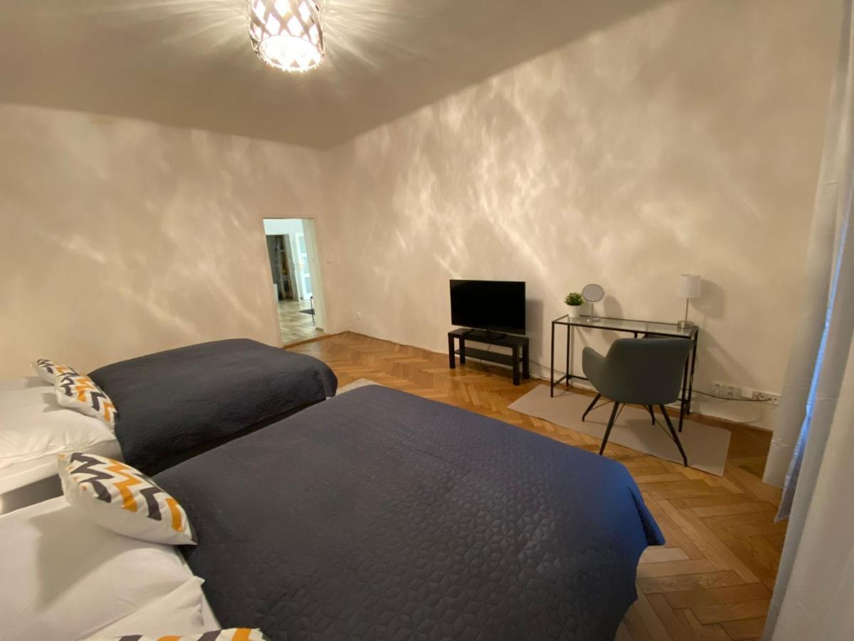 Spacious Apartment On Wenceslas Square