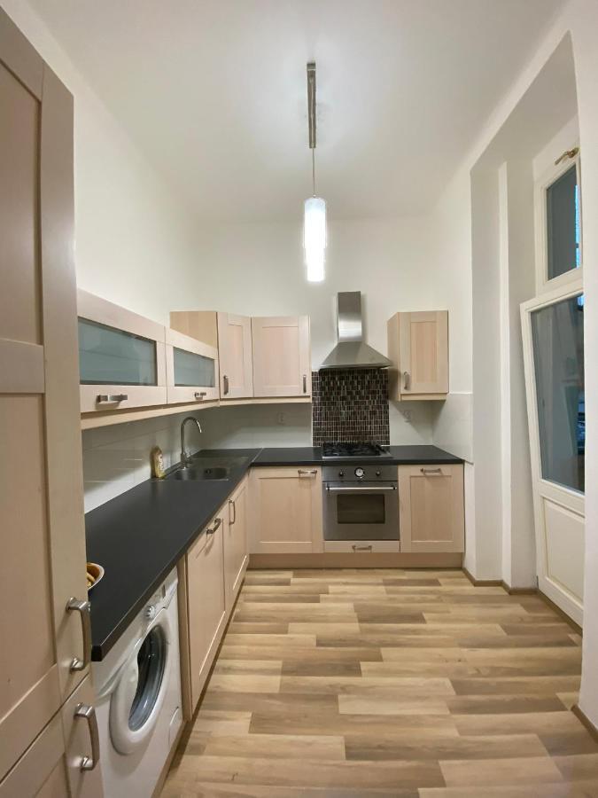 Apartment Spacious On Wenceslas Square *